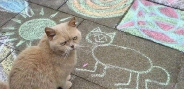 轻松一刻:我真没事,我吃辣条呢! 轻松一刻:我真没事,我吃辣条呢!