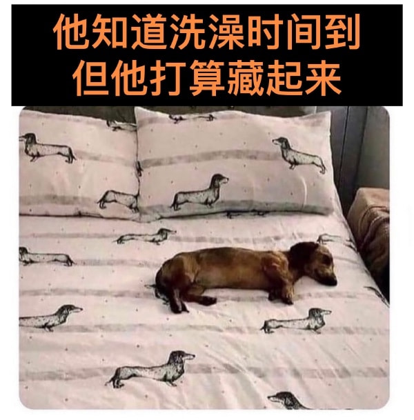 轻松一刻:我真没事,我吃辣条呢! 轻松一刻:我真没事,我吃辣条呢!