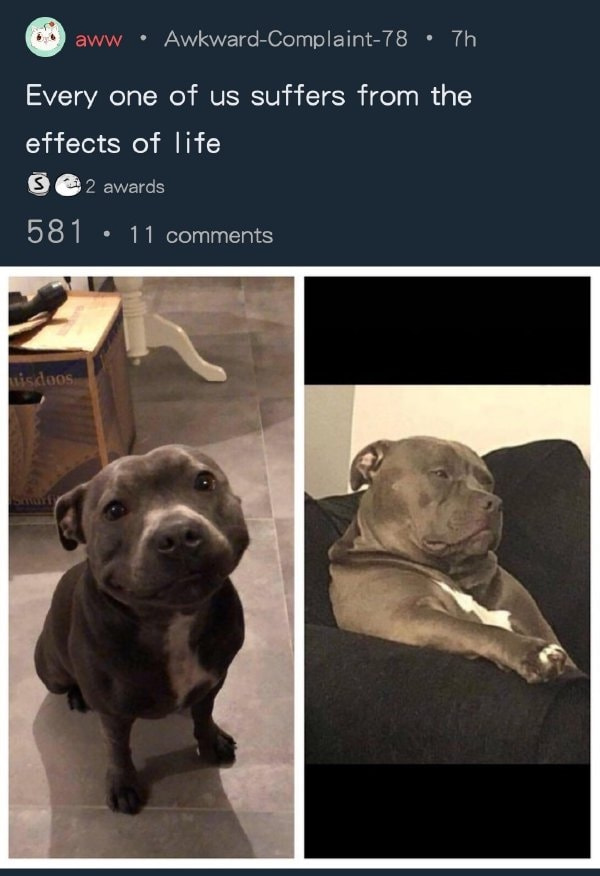 轻松一刻:我真没事,我吃辣条呢! 轻松一刻:我真没事,我吃辣条呢!