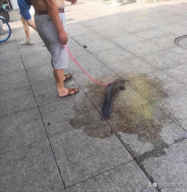 笑死我了,妹子当班主任一年后,变化太大了!这是经历了什么? 笑死我了,妹子当班主任一年后,变化太大了!这是经历了什么?