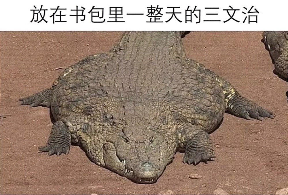 搞笑趣图:当你在超市买了新鲜的水果,并在家里放了两天后…… 搞笑趣图:当你在超市买了新鲜的水果,并在家里放了两天后……