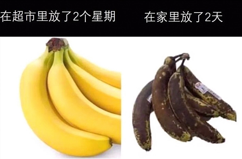 搞笑趣图:当你在超市买了新鲜的水果,并在家里放了两天后…… 搞笑趣图:当你在超市买了新鲜的水果,并在家里放了两天后……