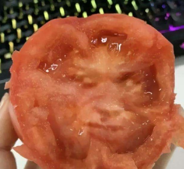 轻松一刻:流水的嫩模,铁打的小李子 轻松一刻:流水的嫩模,铁打的小李子
