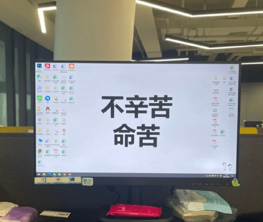 轻松一刻:流水的嫩模,铁打的小李子 轻松一刻:流水的嫩模,铁打的小李子