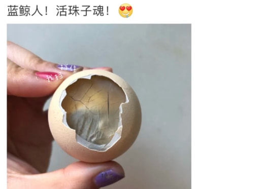 轻松一刻:流水的嫩模,铁打的小李子 轻松一刻:流水的嫩模,铁打的小李子