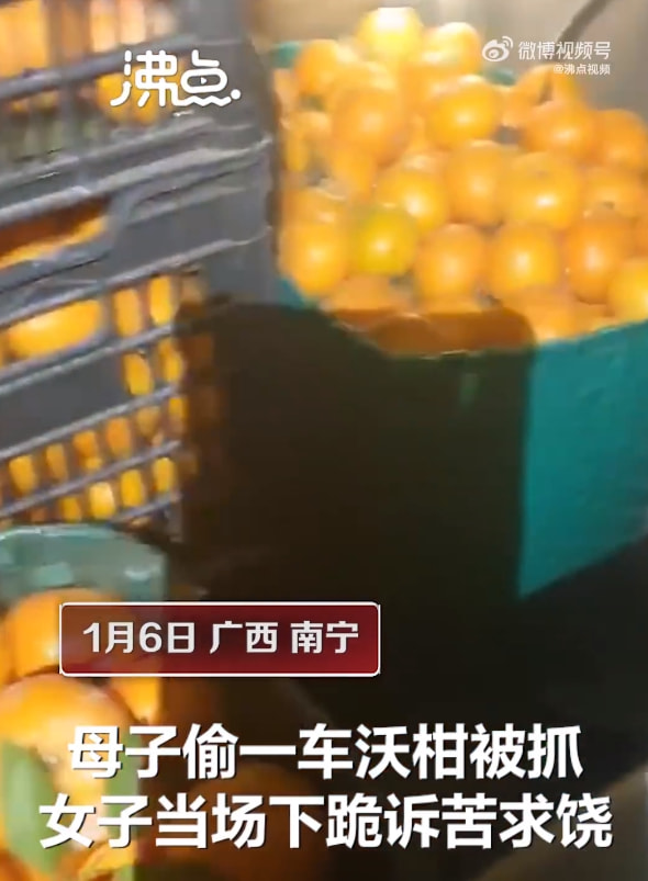 轻松一刻:流水的嫩模,铁打的小李子 轻松一刻:流水的嫩模,铁打的小李子