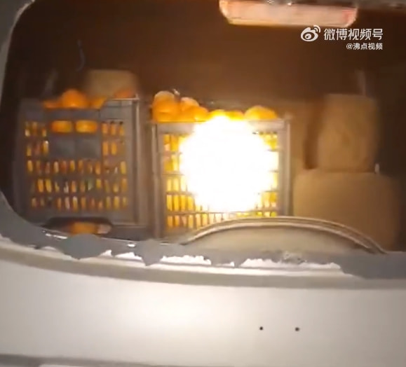 轻松一刻:流水的嫩模,铁打的小李子 轻松一刻:流水的嫩模,铁打的小李子