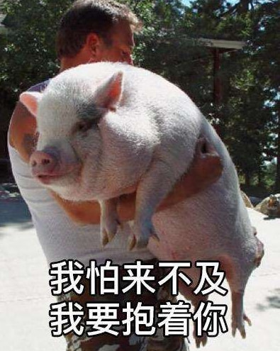 轻松一刻:流水的嫩模,铁打的小李子 轻松一刻:流水的嫩模,铁打的小李子