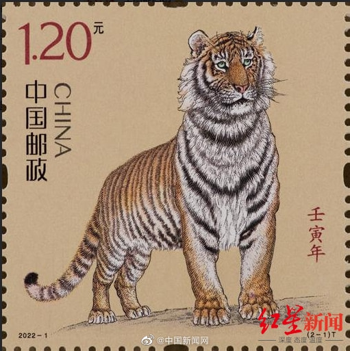 轻松一刻:流水的嫩模,铁打的小李子 轻松一刻:流水的嫩模,铁打的小李子