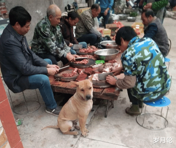 妹子相亲还不摘口罩,不会是个龅牙吧?哈哈哈 妹子相亲还不摘口罩,不会是个龅牙吧?哈哈哈
