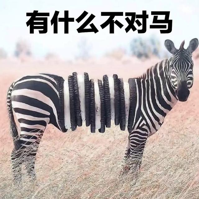 侄女将作文写成了“段子”,老师哭笑不得,网友:笑翻了哈哈哈 侄女将作文写成了“段子”,老师哭笑不得,网友:笑翻了哈哈哈
