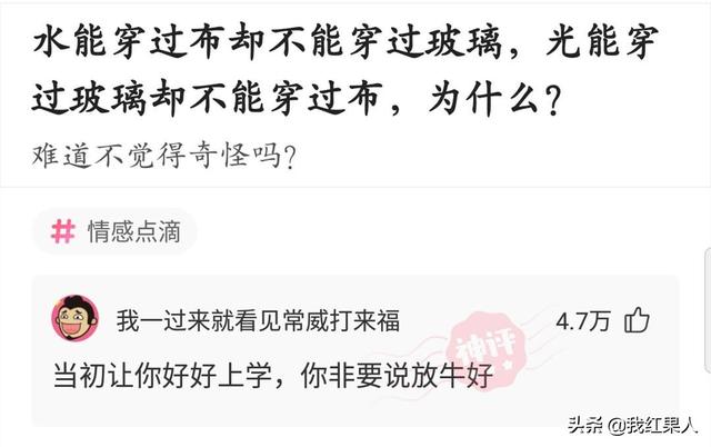 “脑袋痒了大半年,今天总算舒服了!”这到底是什么东西呢? “脑袋痒了大半年,今天总算舒服了!”这到底是什么东西呢?