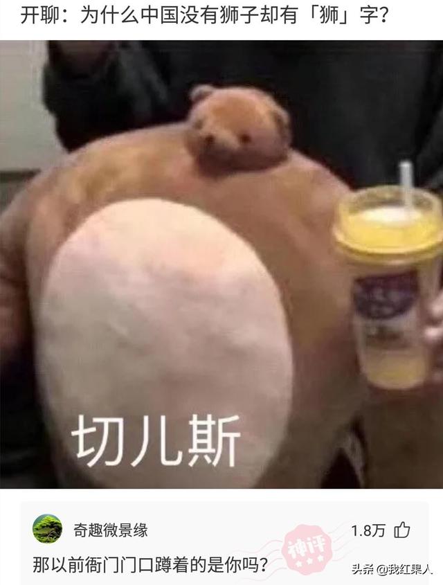 “脑袋痒了大半年,今天总算舒服了!”这到底是什么东西呢? “脑袋痒了大半年,今天总算舒服了!”这到底是什么东西呢?
