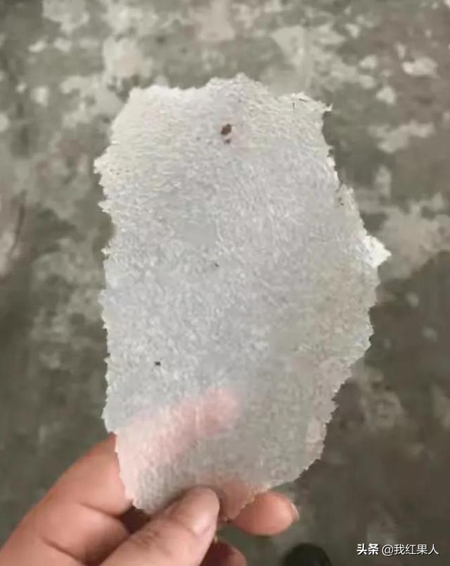 “脑袋痒了大半年,今天总算舒服了!”这到底是什么东西呢? “脑袋痒了大半年,今天总算舒服了!”这到底是什么东西呢?