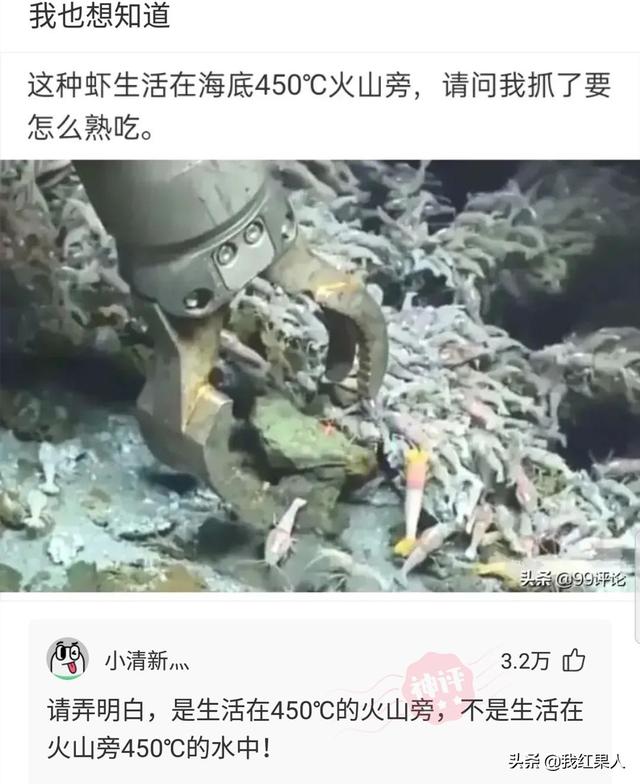 “脑袋痒了大半年,今天总算舒服了!”这到底是什么东西呢? “脑袋痒了大半年,今天总算舒服了!”这到底是什么东西呢?