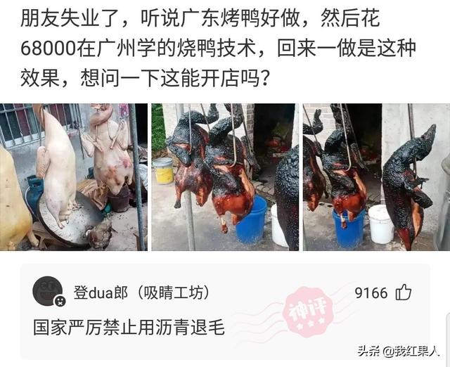“脑袋痒了大半年,今天总算舒服了!”这到底是什么东西呢? “脑袋痒了大半年,今天总算舒服了!”这到底是什么东西呢?