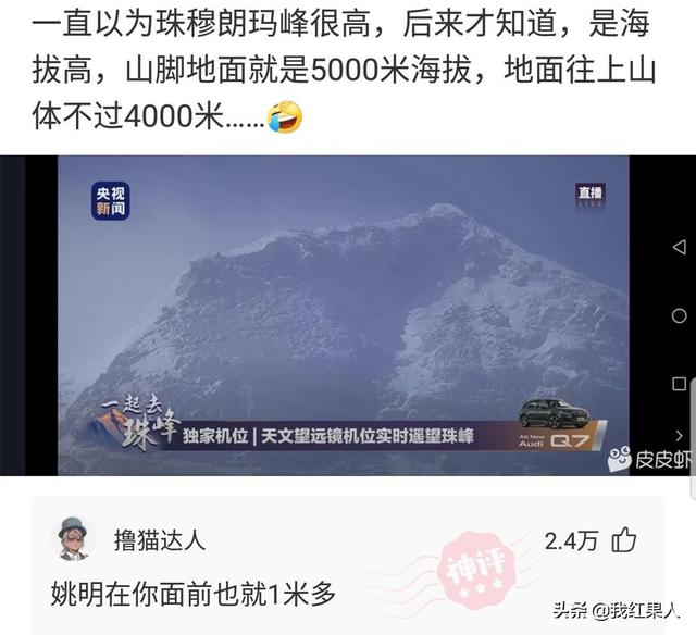 “脑袋痒了大半年,今天总算舒服了!”这到底是什么东西呢? “脑袋痒了大半年,今天总算舒服了!”这到底是什么东西呢?