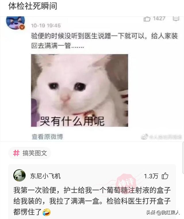 “脑袋痒了大半年，今天总算舒服了！”这到底是什么东西呢？