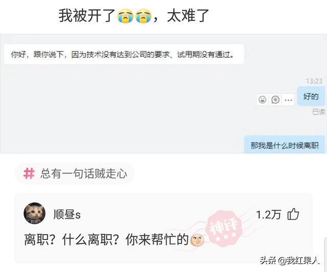 “脑袋痒了大半年，今天总算舒服了！”这到底是什么东西呢？