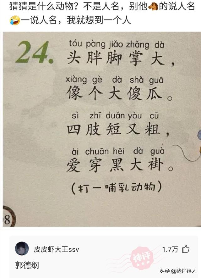 “脑袋痒了大半年,今天总算舒服了!”这到底是什么东西呢? “脑袋痒了大半年,今天总算舒服了!”这到底是什么东西呢?