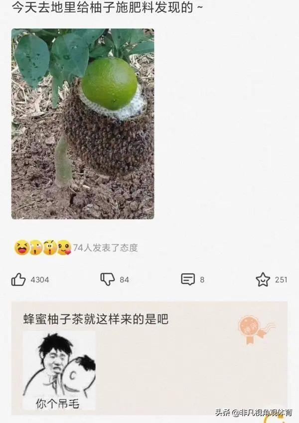 搞笑神评:为啥没有香烟前,抽旱烟的老人极少得肺病?神评真相了 搞笑神评:为啥没有香烟前,抽旱烟的老人极少得肺病?神评真相了