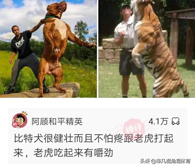 搞笑神评:为啥没有香烟前,抽旱烟的老人极少得肺病?神评真相了 搞笑神评:为啥没有香烟前,抽旱烟的老人极少得肺病?神评真相了