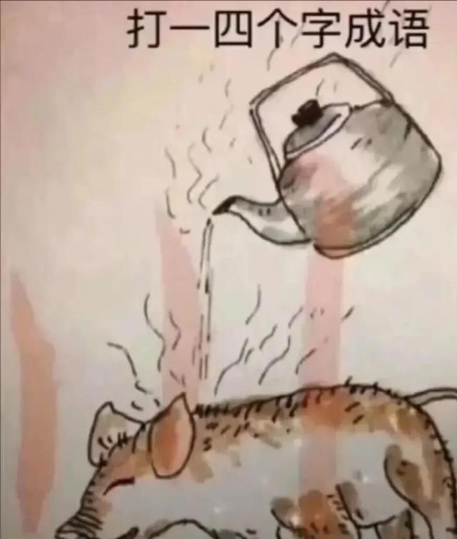 神回复,爸爸选的媳妇VS妈妈选的媳妇,有啥区别? 神回复,爸爸选的媳妇VS妈妈选的媳妇,有啥区别?