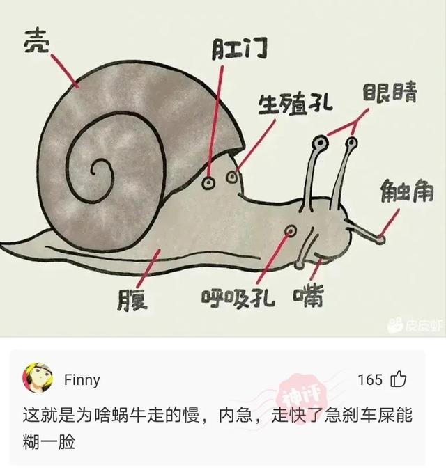 神回复,爸爸选的媳妇VS妈妈选的媳妇,有啥区别? 神回复,爸爸选的媳妇VS妈妈选的媳妇,有啥区别?