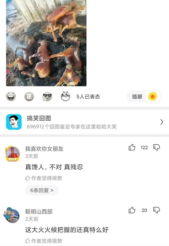 神回复：看得出来，这对爸妈很喜欢学校的亲子活动