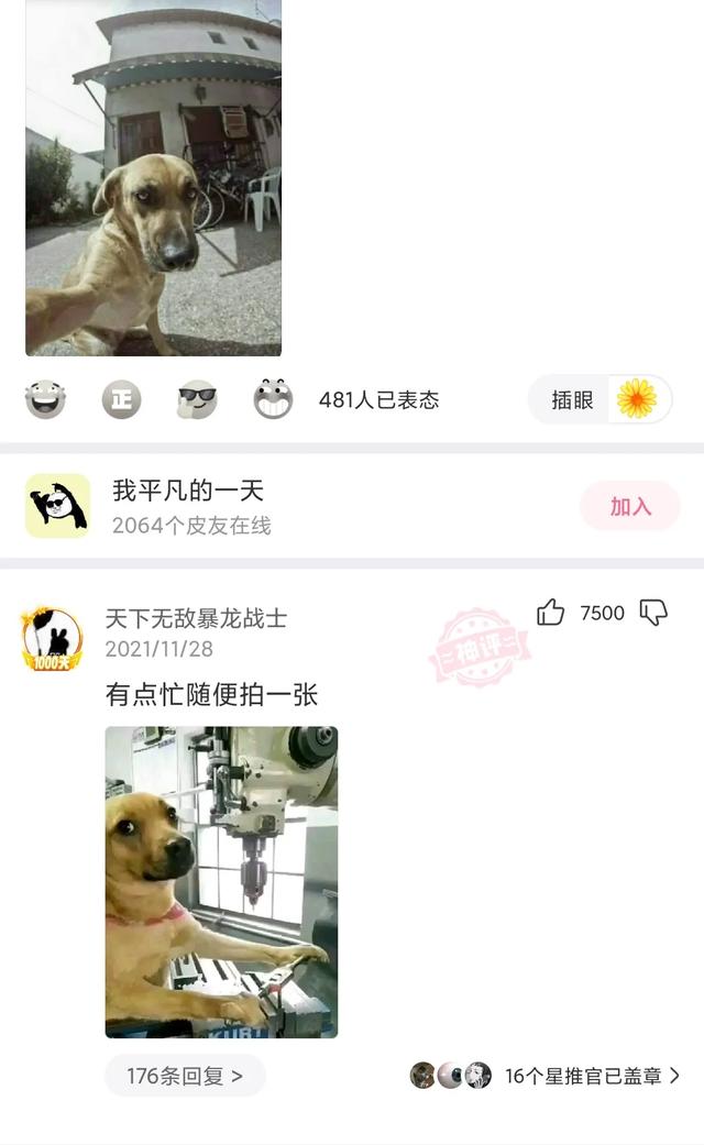 神回复:看得出来,这对爸妈很喜欢学校的亲子活动 神回复:看得出来,这对爸妈很喜欢学校的亲子活动