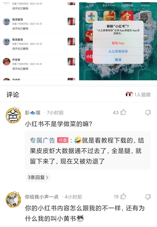 神回复：看得出来，这对爸妈很喜欢学校的亲子活动