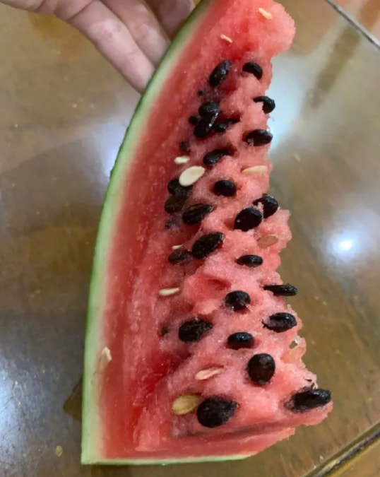 轻松一刻:深夜长腿美女在狂风中奔跑,仔细一看竟是 轻松一刻:深夜长腿美女在狂风中奔跑,仔细一看竟是