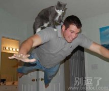 飞翔吧,我的铲屎官 飞翔吧,我的铲屎官