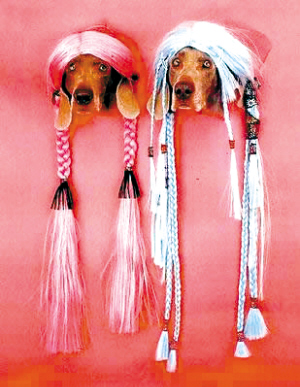 搞笑动物--给生活加点料