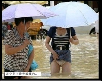 搞笑趣图 一周精选