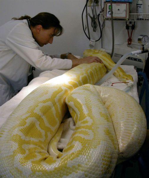 动物大战 谁主沉浮！