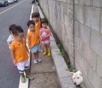 你也是够了