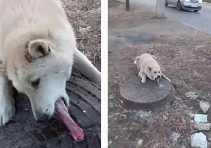 轻松一刻:见过当花瓶的,没见过当球瓶的! 轻松一刻:见过当花瓶的,没见过当球瓶的!