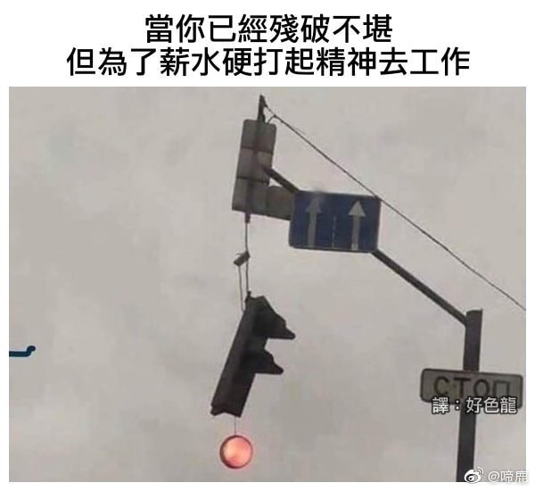 轻松一刻:见过当花瓶的,没见过当球瓶的! 轻松一刻:见过当花瓶的,没见过当球瓶的!