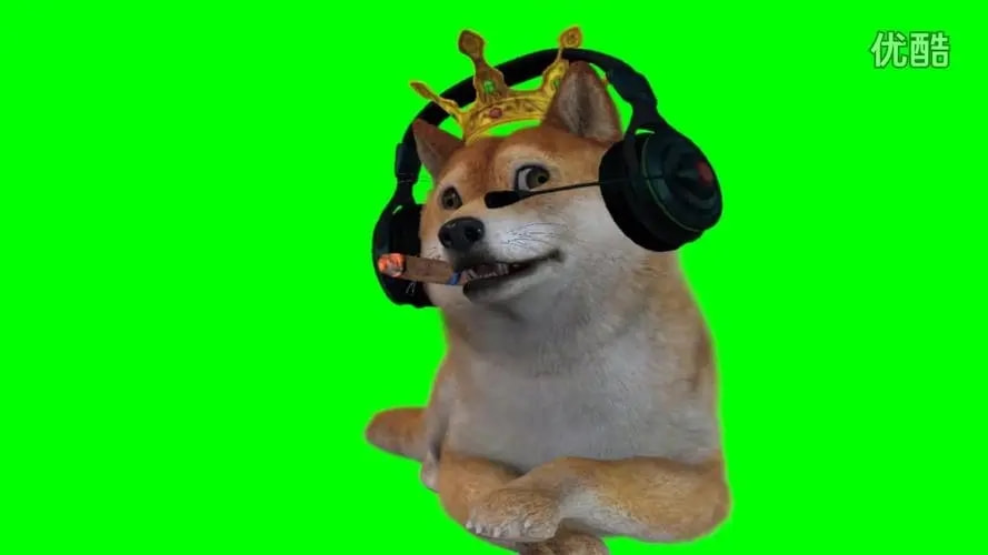 轻松一刻:见过当花瓶的,没见过当球瓶的! 轻松一刻:见过当花瓶的,没见过当球瓶的!