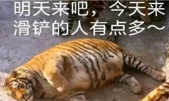 轻松一刻:见过当花瓶的,没见过当球瓶的! 轻松一刻:见过当花瓶的,没见过当球瓶的!