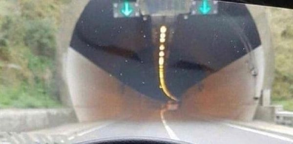 轻松一刻:见过当花瓶的,没见过当球瓶的! 轻松一刻:见过当花瓶的,没见过当球瓶的!