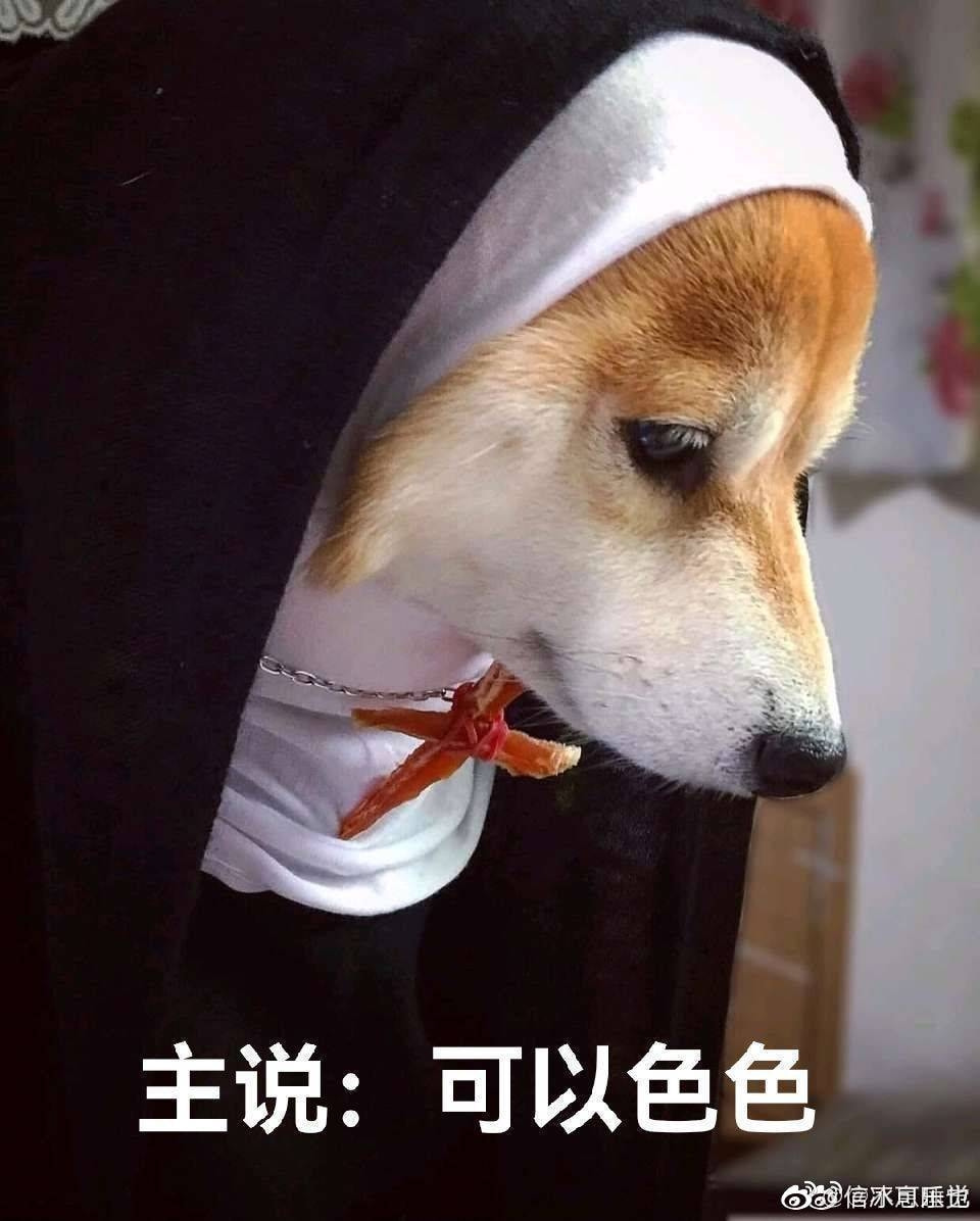 轻松一刻:见过当花瓶的,没见过当球瓶的! 轻松一刻:见过当花瓶的,没见过当球瓶的!