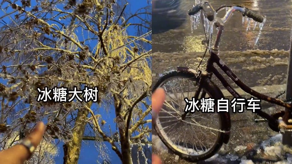 轻松一刻:见过当花瓶的,没见过当球瓶的! 轻松一刻:见过当花瓶的,没见过当球瓶的!