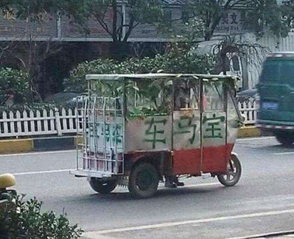 轻松一刻:见过当花瓶的,没见过当球瓶的! 轻松一刻:见过当花瓶的,没见过当球瓶的!