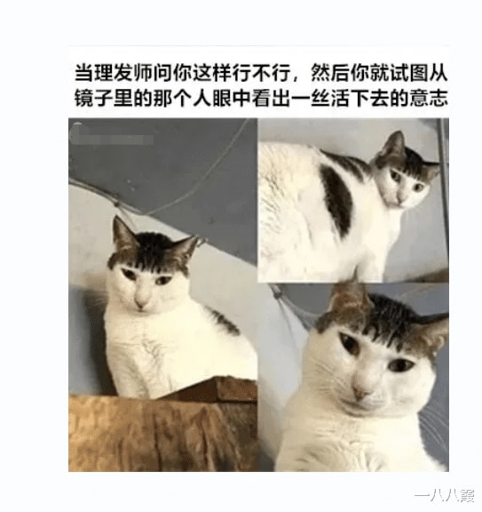 “女领导私下找我谈话,现在很慌该怎么办?”神评论绝了,哈哈哈 “女领导私下找我谈话,现在很慌该怎么办?”神评论绝了,哈哈哈