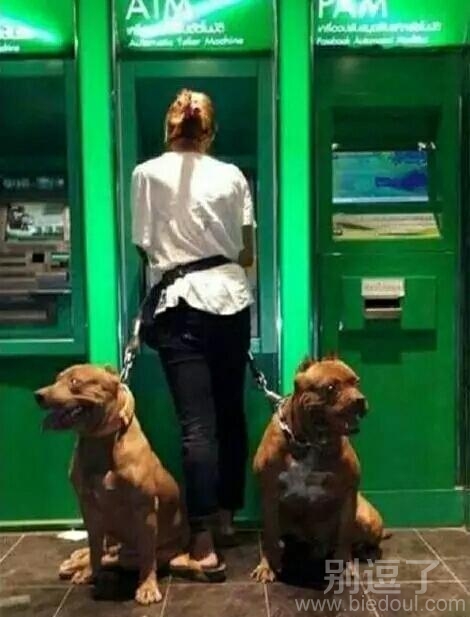 看谁还敢来抢劫我 看谁还敢来抢劫我