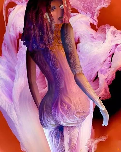 性感妩媚大白菜,好吃更好看! 性感妩媚大白菜,好吃更好看!