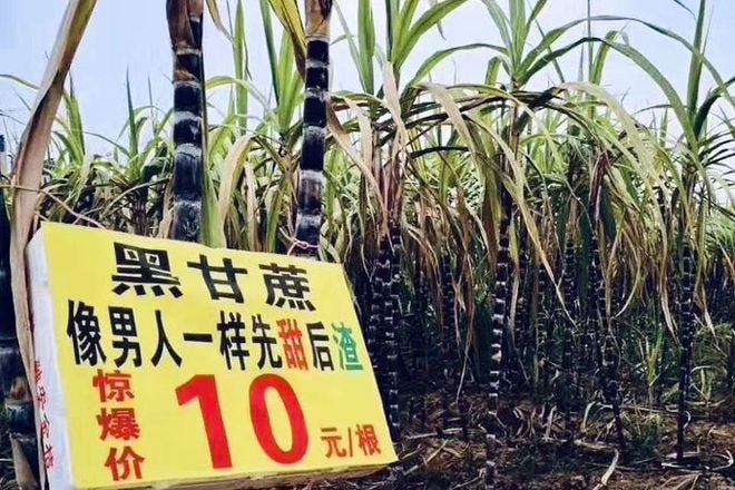 轻松一刻:如此特色的酒店,你能受得了吗? 轻松一刻:如此特色的酒店,你能受得了吗?