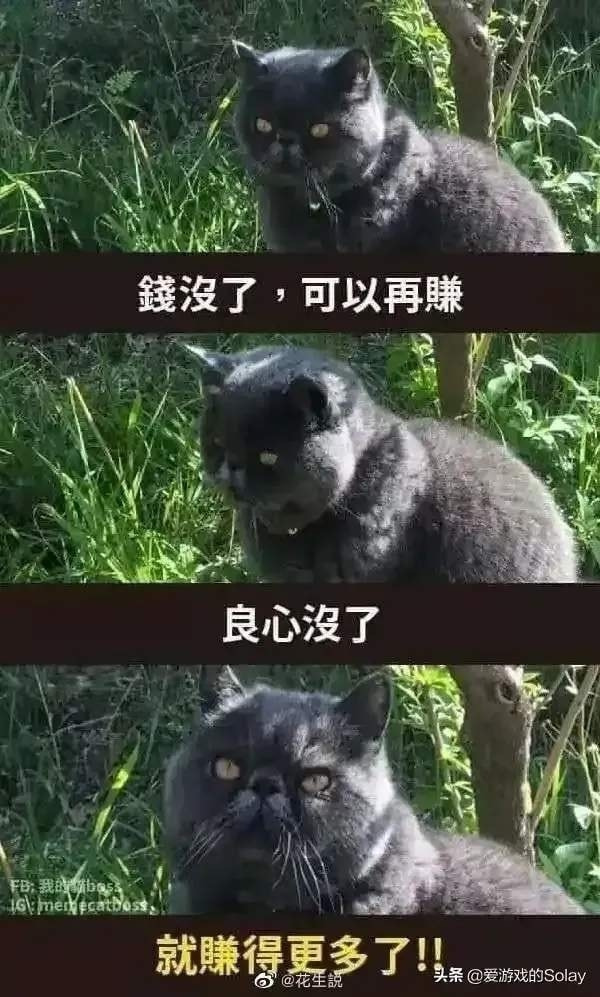 轻松一刻:如此特色的酒店,你能受得了吗? 轻松一刻:如此特色的酒店,你能受得了吗?